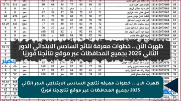 ظهرت الآن .. خطوات معرفة نتائج السادس الابتدائي الدور الثاني 2025 بجميع المحافظات عبر موقع نتائجنا فوريًا